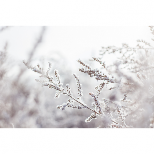 New year special - Free 30 min online meditation