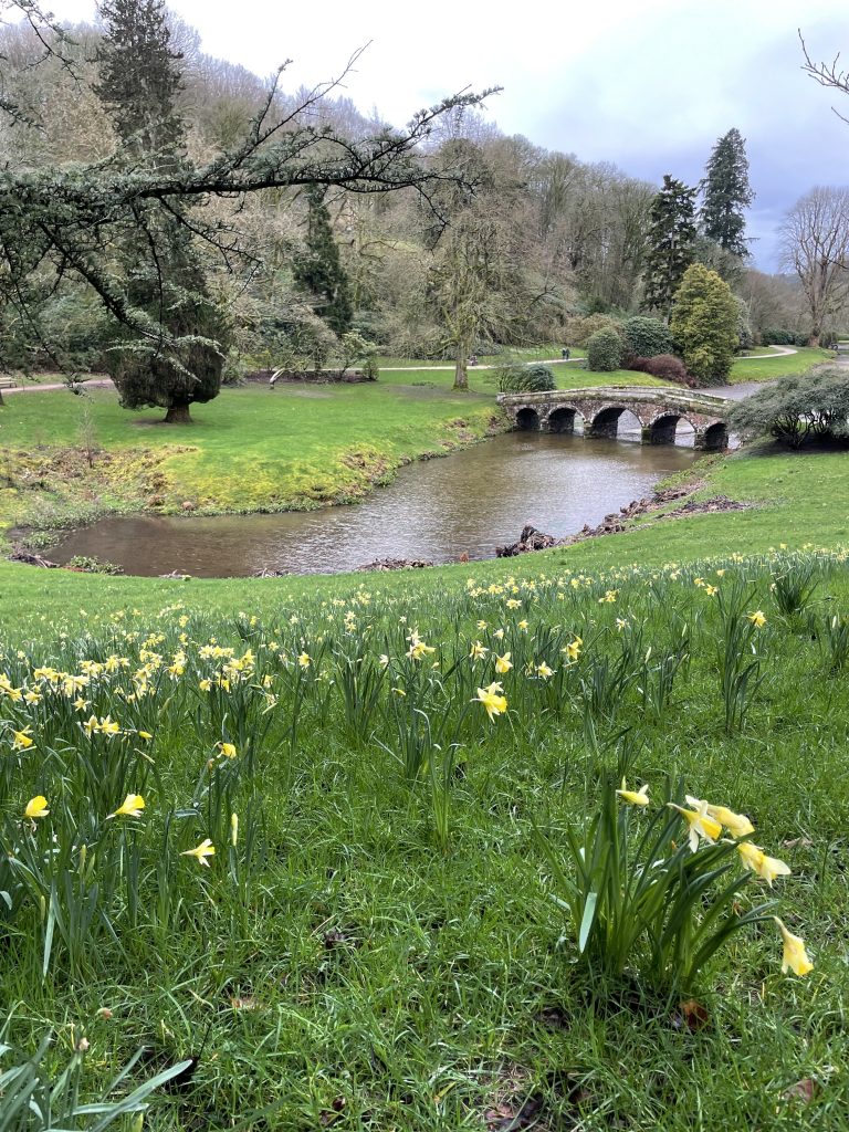 The Spring Reset: Using Meditation to Plant your intentions